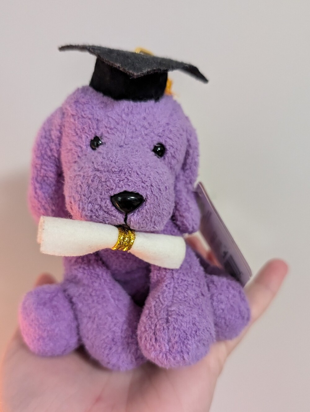 Luvpet Diploma Dog Purple Graduation Gift Plush